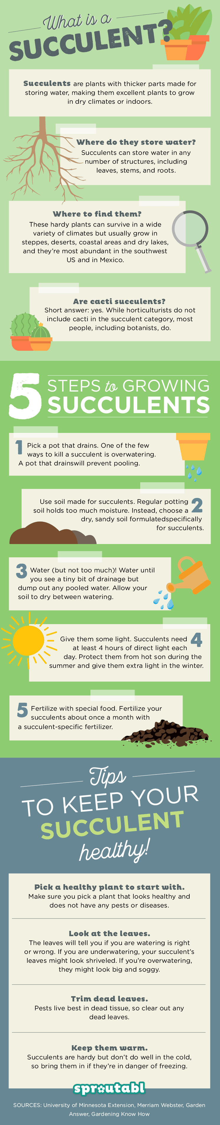 http://www.prettyprudent.com/wp-content/uploads/2017/04/How-to-Grow-Succulents.png
