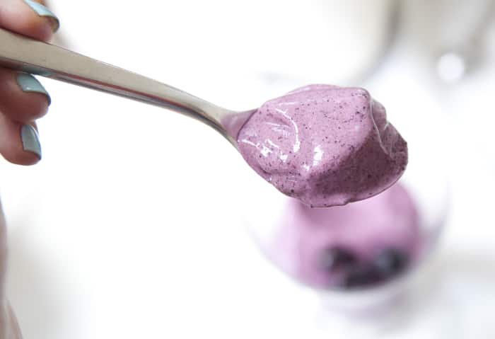 Blueberry Lavender ice cream in a blender
