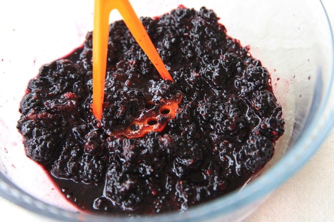 blackberry basil jam recipe 2