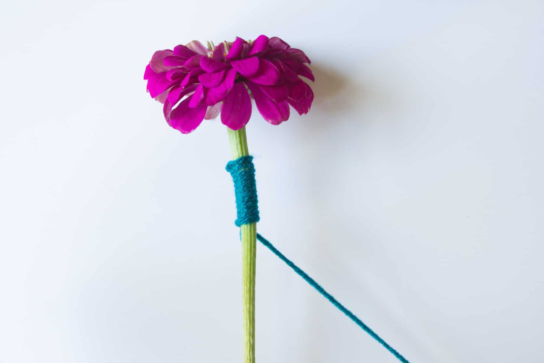 Flower Friday: Yarn Bombing Blooms 
