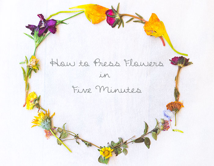 How-to-Press-Flowers-in-Just-Five-Minutes_Pretty-Prudent_