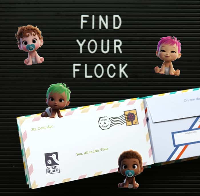 find-your-flock