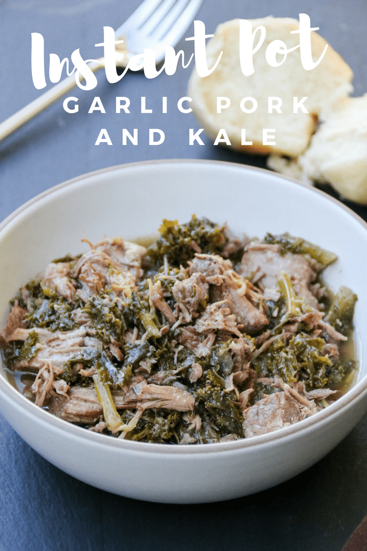 Instant Pot Pork Recipe
