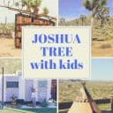 What to do in Joshua Tree With Kids: A Joshua Tree Itinerary for Families