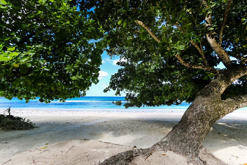 Seychelles Itinerary: Beach