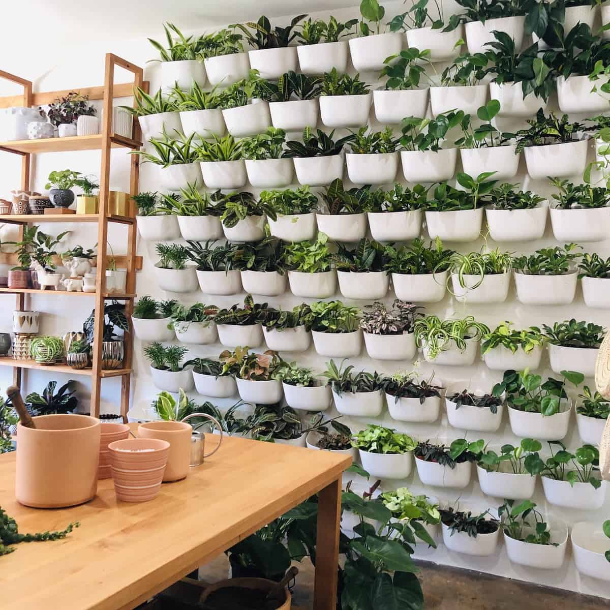 Image of the interior of greenwood shop in los angeles CA