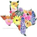 texas wildflower watercolor