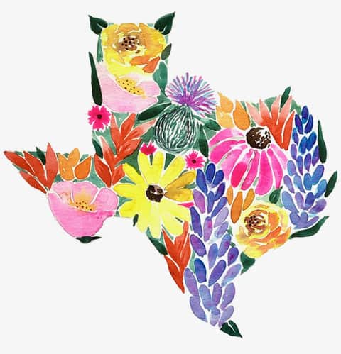 Texas Wildflowers by Jacinda BOneau